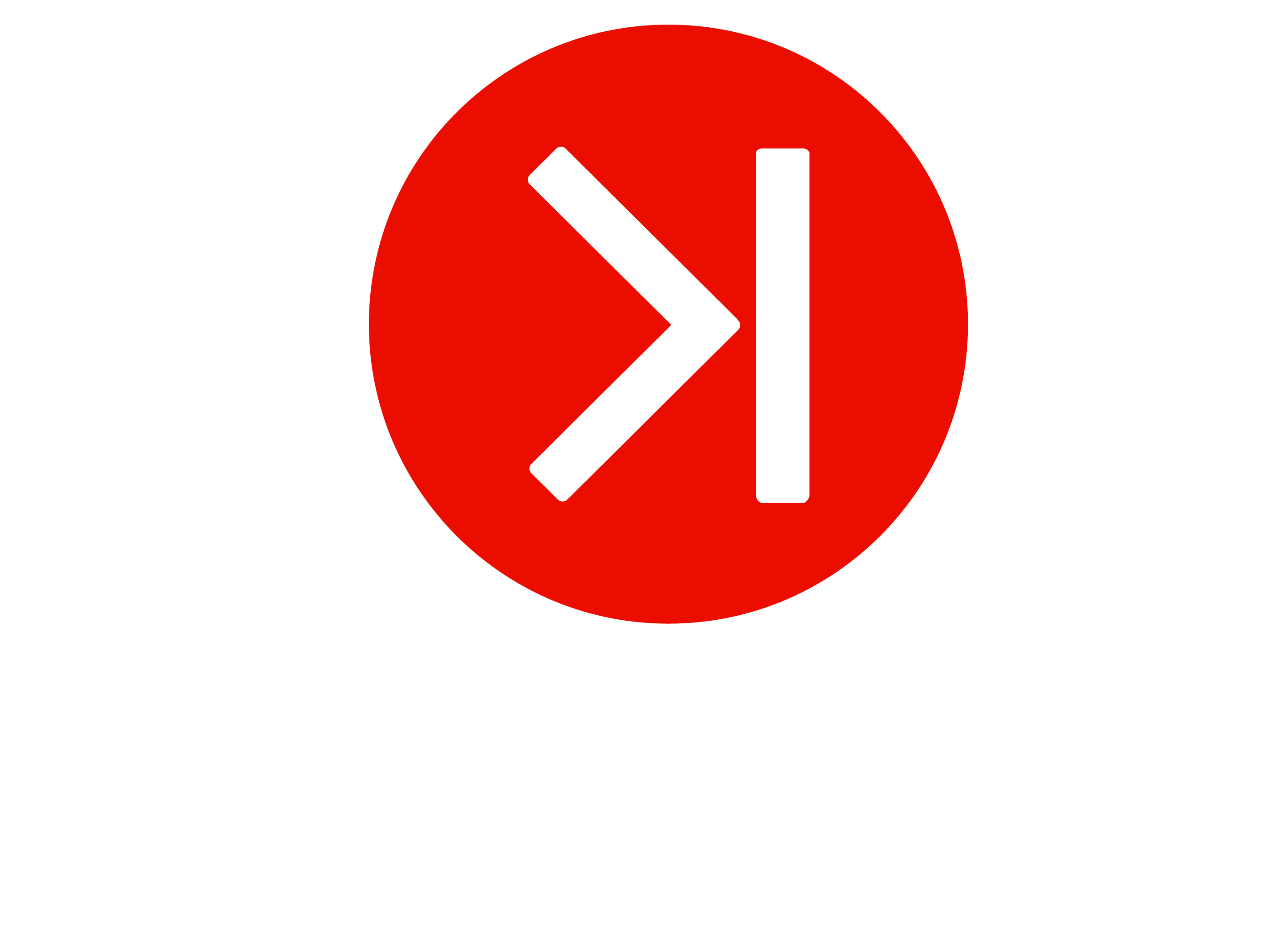 SK Logo Vertical White